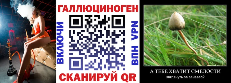 Галлюциногенные грибы GOLDEN TEACHER  Мурино 